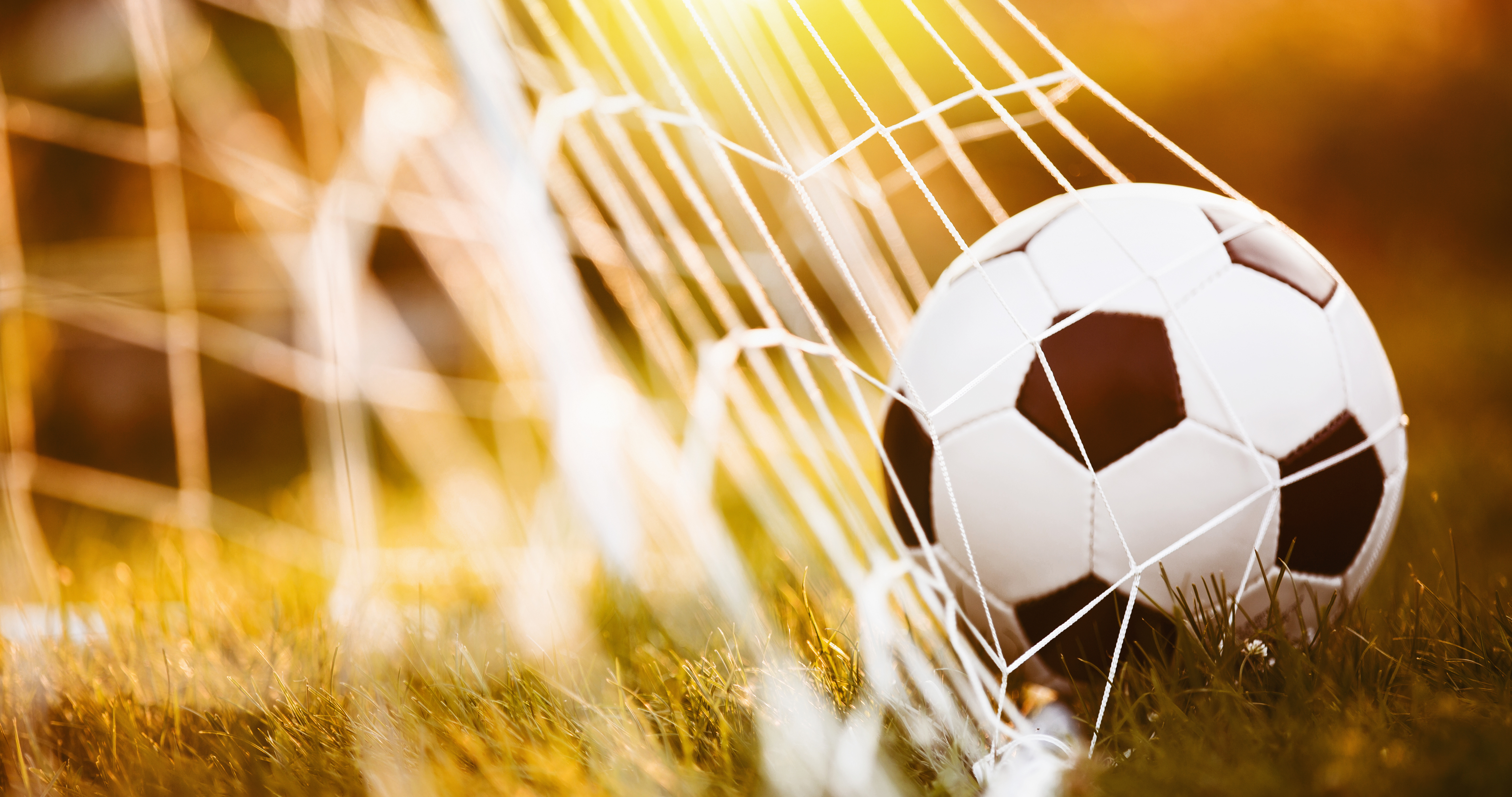 Image of Soccer Ball in Net